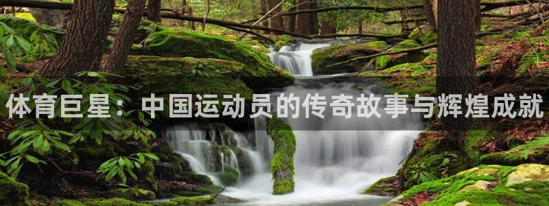 一竞技官网下载招商电话地址查询：体育巨星：中国运动员