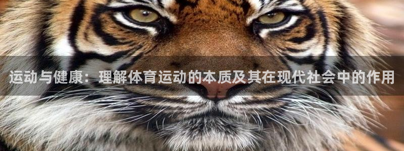 一竞技官方正版app官方
