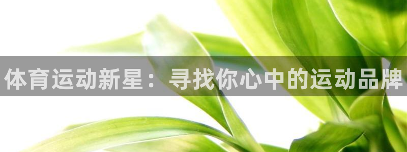 一竞技官方正版app开户