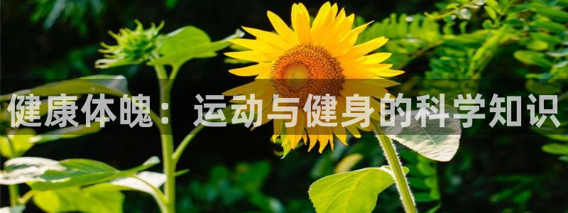 一竞技官方正版app娱乐