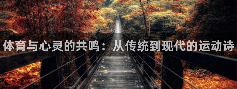 一竞技官网下载招商电话号码：体育与心灵的共鸣：从传统
