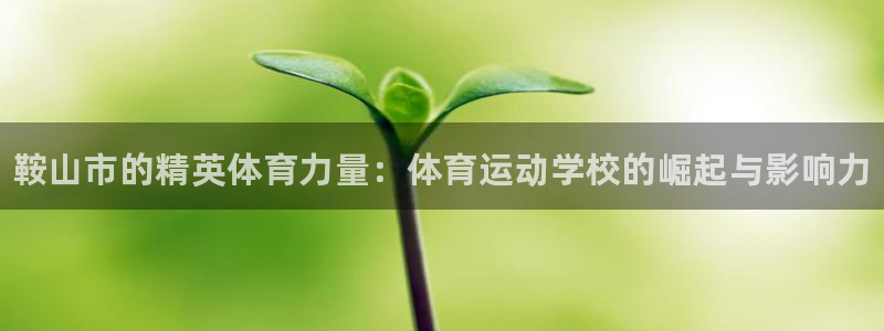 一竞技官方集团官网：鞍山市的精英体育力量：体育运动学