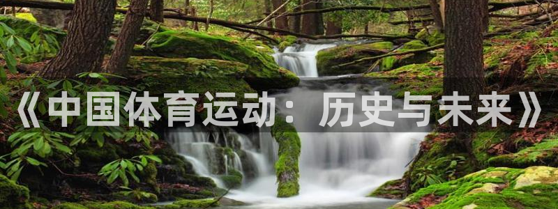 一竞技官方正版app集团logo：《中国体育运动：历