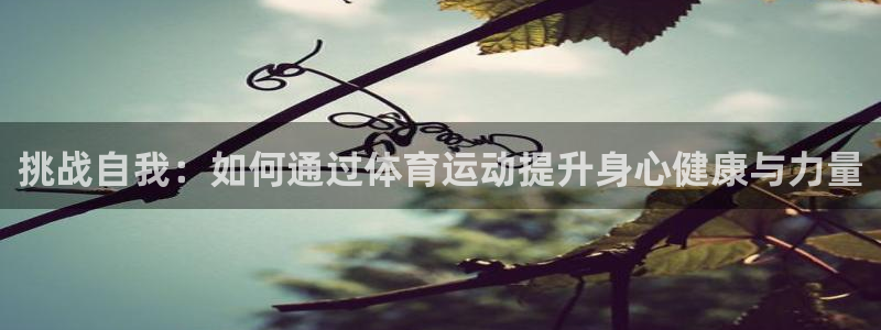 一竞技官方正版app娱乐平台：挑战自我：如何通过体育