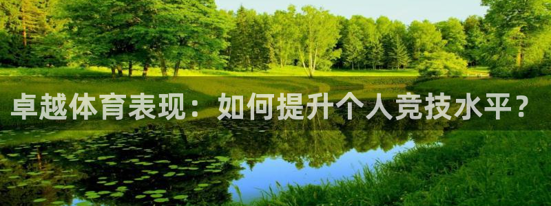 一竞技官方正版app神州：卓越体育表现：如何提升个人