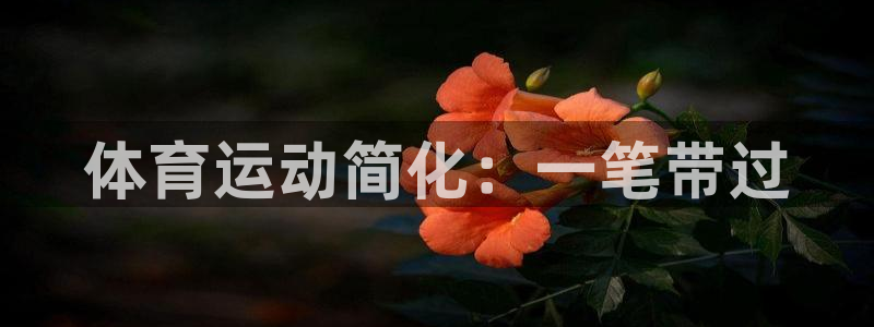 一竞技官网下载平台是正规平台吗知乎：体育运动简化：一