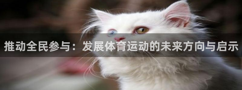 一竞技官网下载平台是正规平台吗安全吗：推动全民参与：