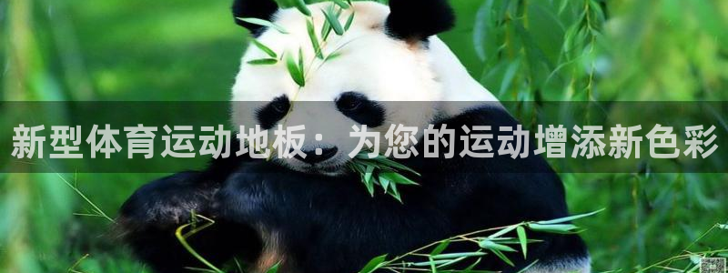 一竞技官网下载是干嘛的公司：新型体育运动地板：为您的