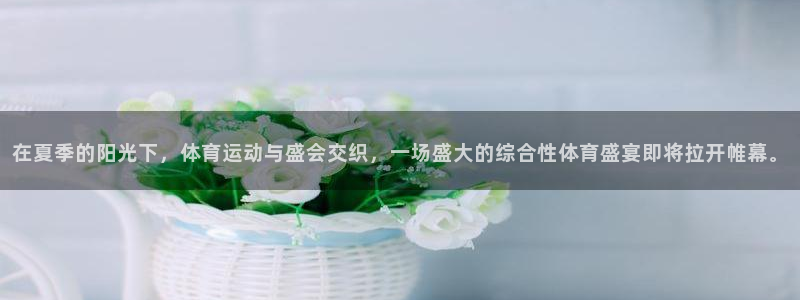 海南一竞技官网下载发展怎么样：在夏季的阳光下，体育运