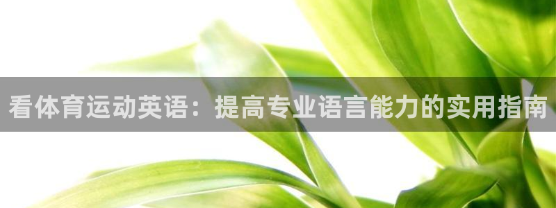 一竞技官网下载开户：看体育运动英语：提高专业语言能力