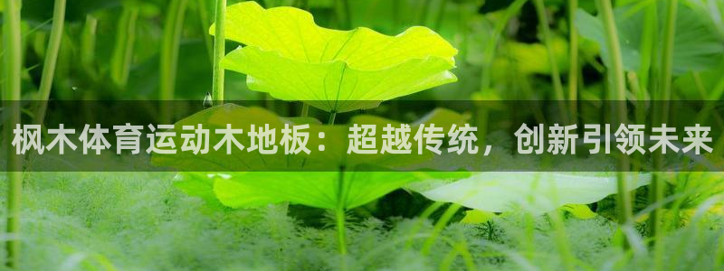 一竞技官网下载平台是正规平台吗：枫木体育运动木地板：超越传统