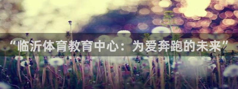 一竞技官网下载平台注册要钱吗：“临沂体育教育中心：为爱奔跑的