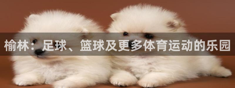 一竞技官网下载平台是正规平台吗知乎