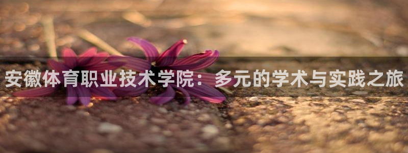 一竞技官网下载平台是正规平台吗