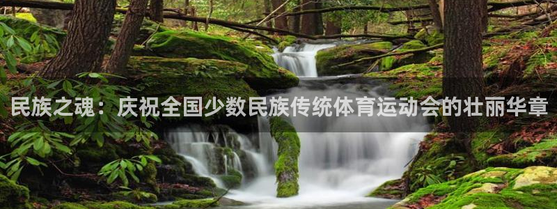 一竞技官方正版app开户