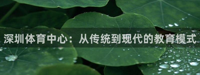 一竞技官网下载招商电话号码