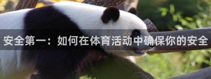 一竞技官方正版app科技：安全第一：如何在体育活动中确保你的