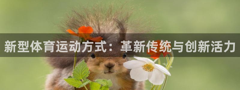 一竞技平台可靠吗