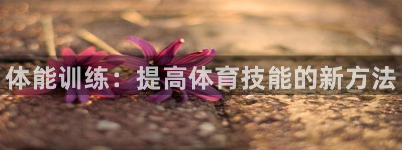 一竞技平台测速：体能训练：提高体育技能的新方法