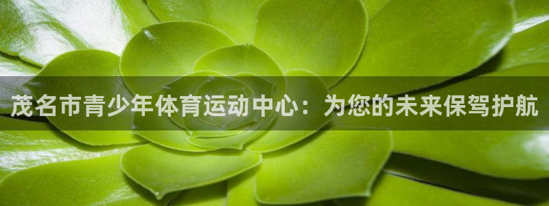 一竞技平台是正规平台吗安全吗