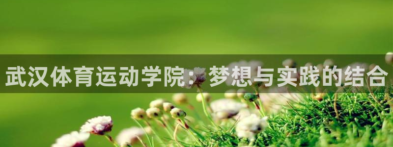 一竞技平台是杂牌吗：武汉体育运动学院