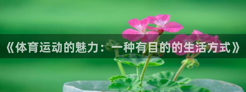 一竞技one卡安不安全：《体育运动的魅力：一种有目的的生活方