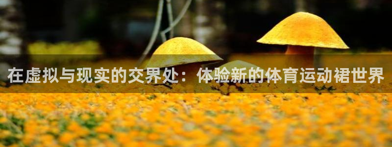 一竞技官方网站入口下载：在虚拟与现实