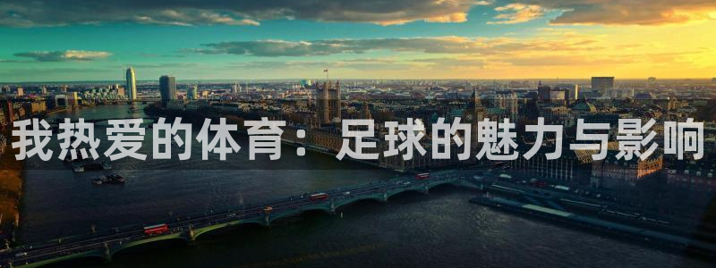 一竞技APP官方下载：我热爱的体育：