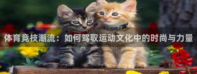  一竞技平台提现不出：体育竞技潮流：如何驾驭运动文化中的时尚与