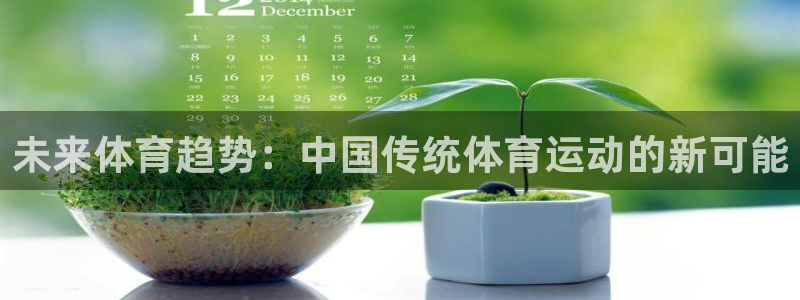 一竞技平台怎么样：未来体育趋势：中国传统体育运动的新可能