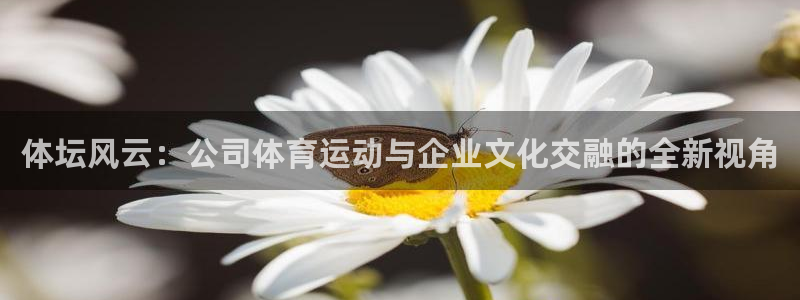 一竞技app下载：体坛风云：公司体育运动与企业文化交融的全新