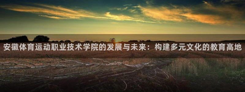  一竞技网站：安徽体育运动职业技术学院的发展与未来：构建多元文