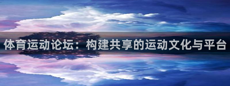 一竞技dota：体育运动论坛：构建共