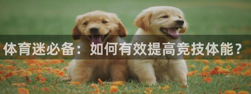  一竞技平台是正规软件吗：体育迷必备：如何有效提高竞技体能？