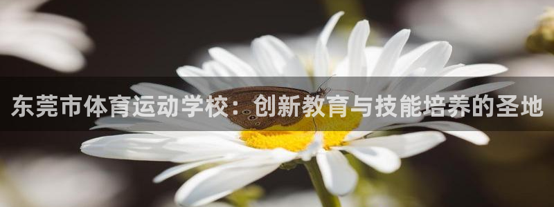 一竞技官网测速入口登录